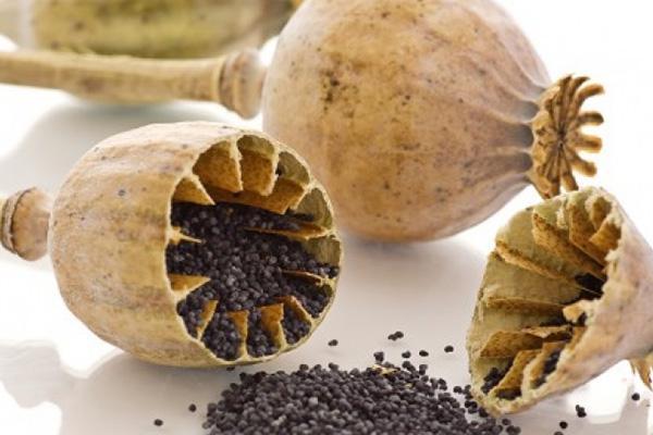 خواص روغن خشخاش و طرز تهیه آن