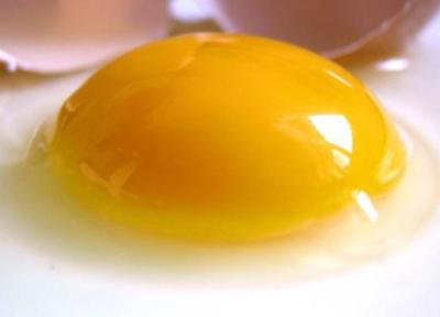 فواید و مضرات زرده تخم مرغ را بشناسید